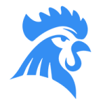 đá gà rr88